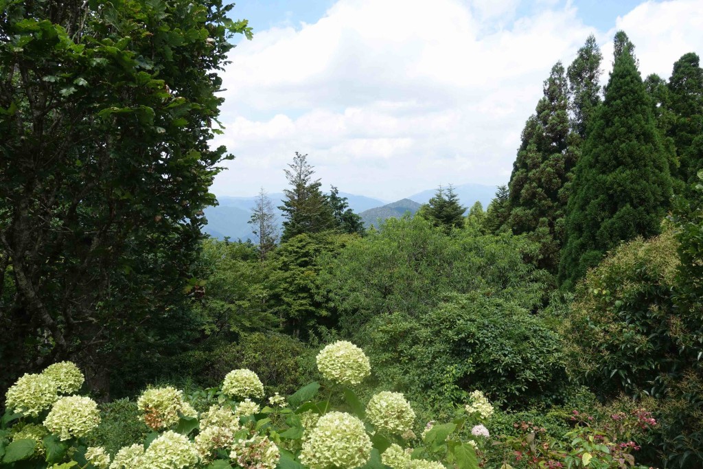 DSC04410のコピー2